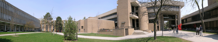 Engineering in the Spring